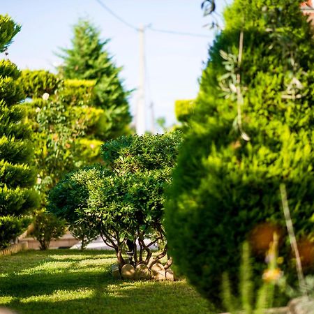 Mandani Villa Luxury Apartments Limenas  Zewnętrze zdjęcie