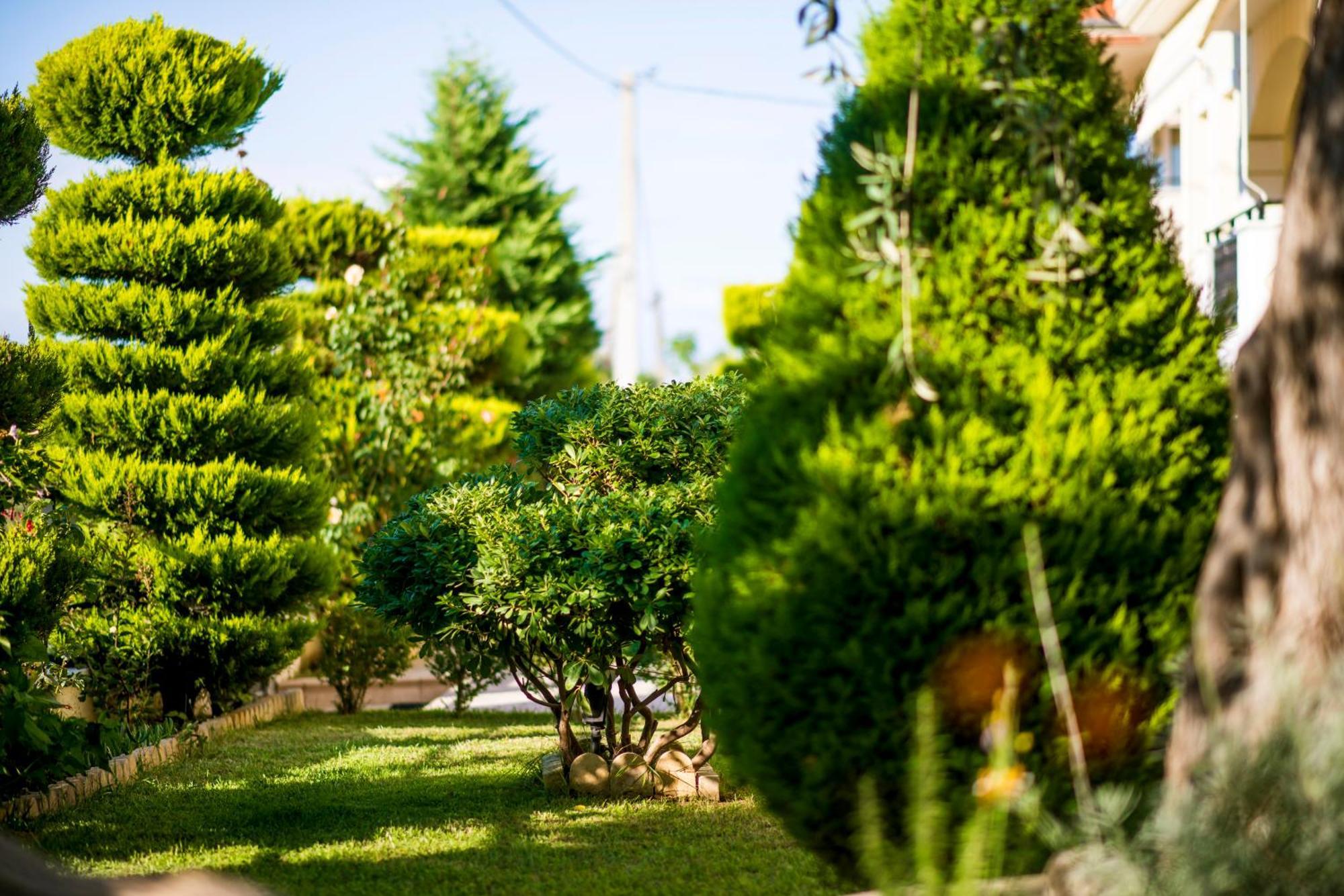 Mandani Villa Luxury Apartments Limenas  Zewnętrze zdjęcie